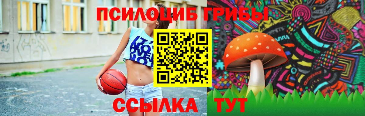 Галлюциногенные грибы Psilocybine cubensis Сосновый Бор
