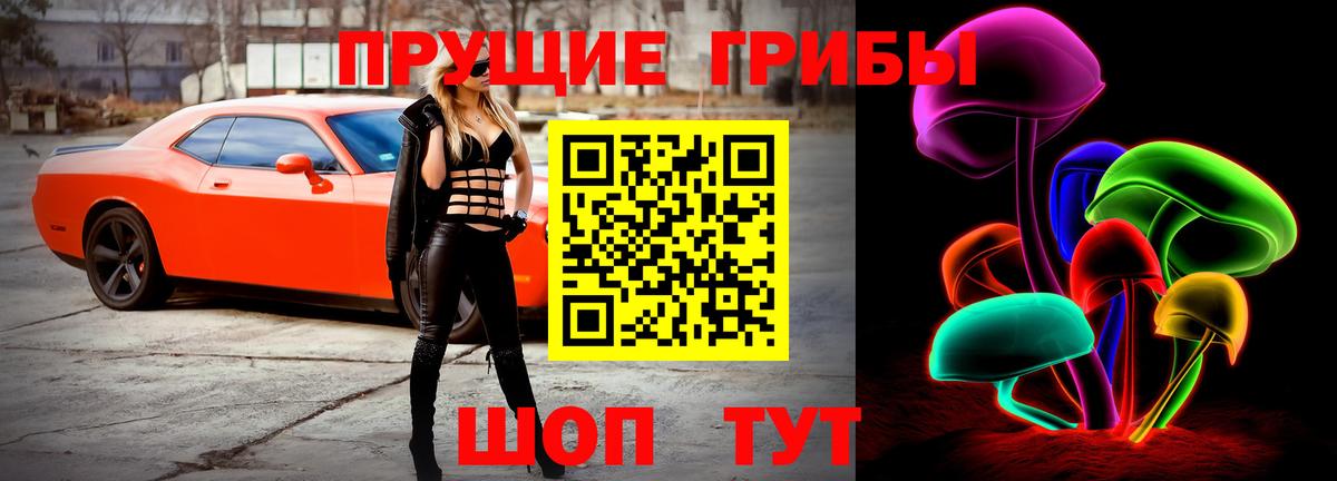Галлюциногенные грибы Magic Shrooms  Вход с VPN  где купить наркоту  Сосновый Бор 