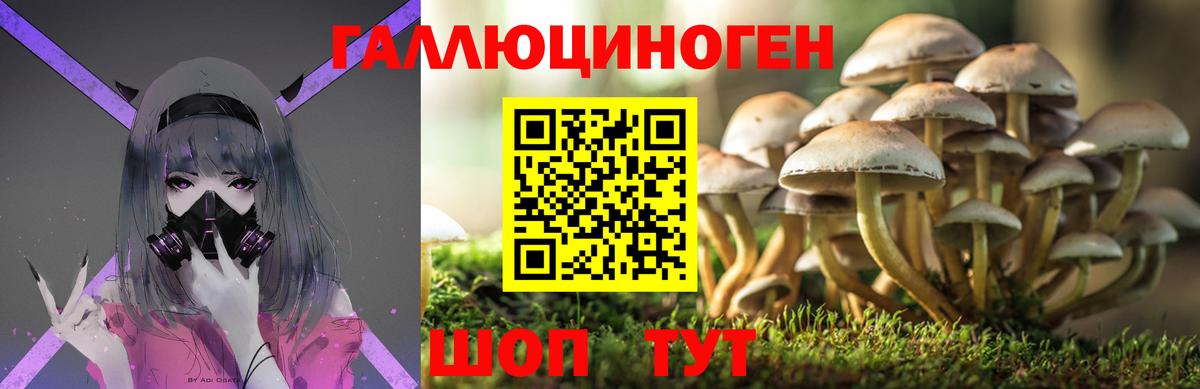 МАРИХУАНА  Сосновый Бор  Вход с VPN  COCAIN  Метамфетамин  Меф МЯУ МЯУ кристаллы  ГАШИШ 